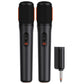 Partybox wirless mic